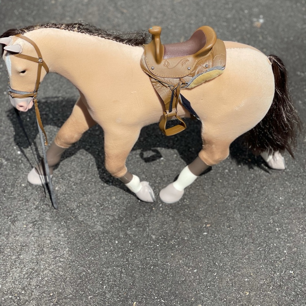 Jackson Is an AG retired horse of Nicki